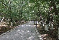 Парк им. Н.Нариманова-7