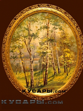 Березы